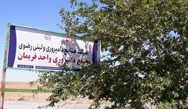 از ادغام تا جهش؛ مسیری تازه در دامپروری آستان قدس رضوی