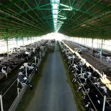 اجرای طرح مدیریت بهینه مصرف آب در واحد دامپروری کنه بیست