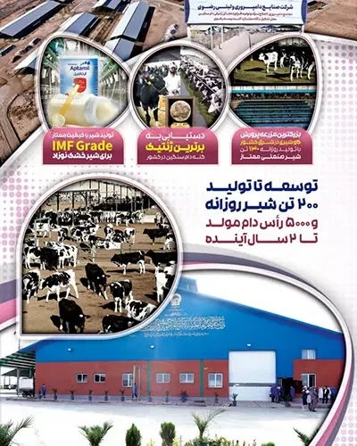 تولید روزانه ۳۲۰ تن شیر باکیفیت در صنایع دامپروری و لبنی رضوی