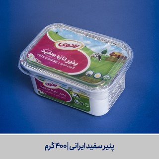 پنیر سفید ایرانی | 400 گرم