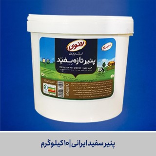 پنیر سفید ایرانی | 10 کیلوگرم
